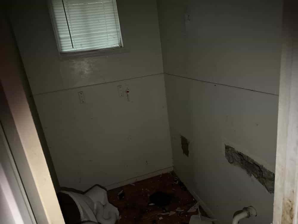 Picture of undefined, number 5