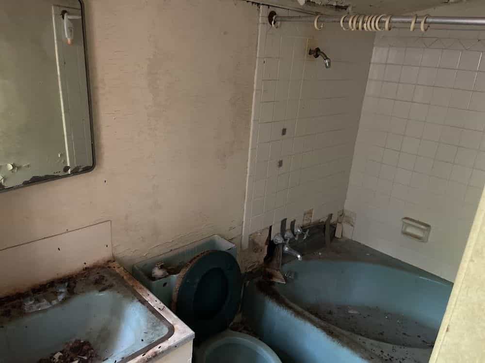 Picture of undefined, number 11