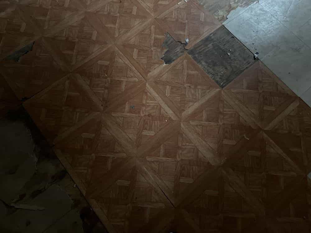 Picture of undefined, number 11