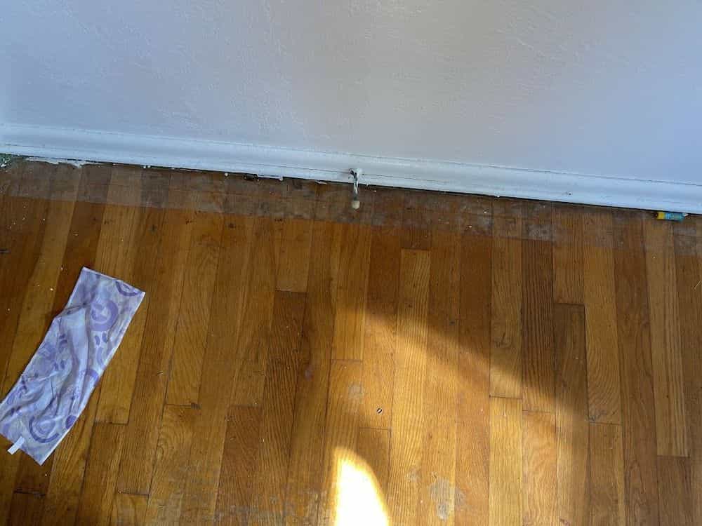 Picture of undefined, number 11