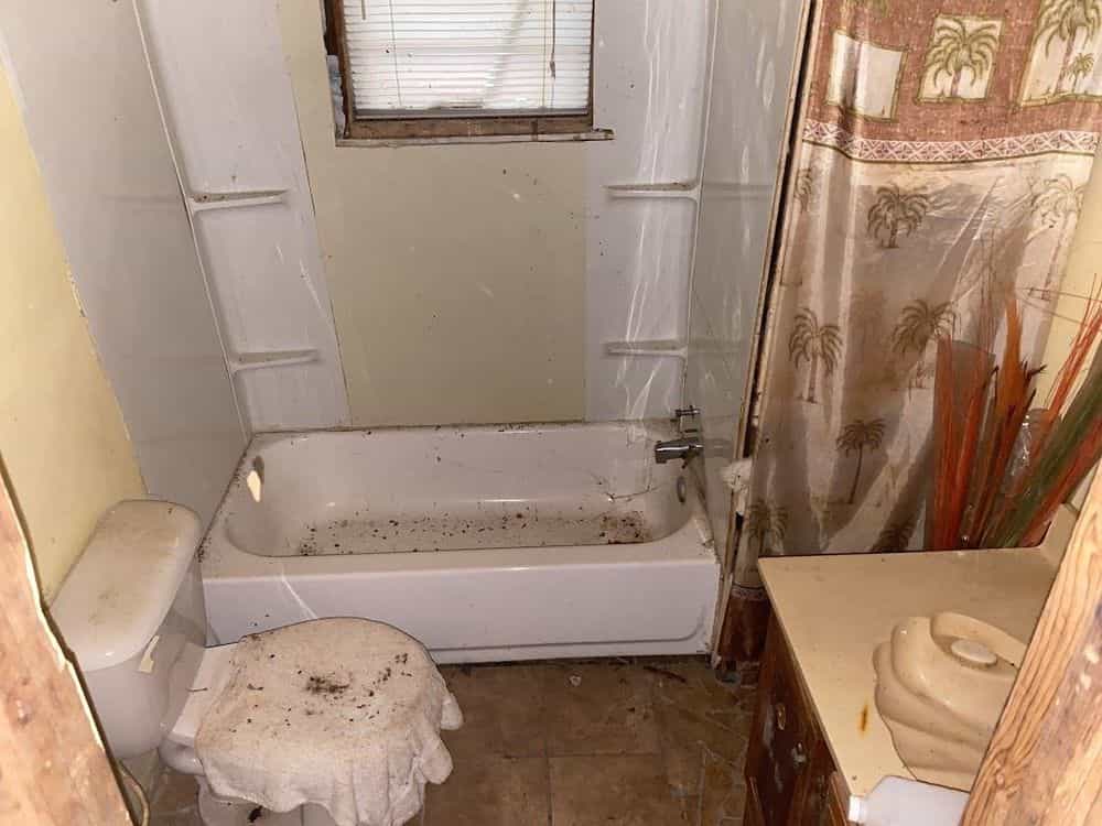 Picture of undefined, number 17
