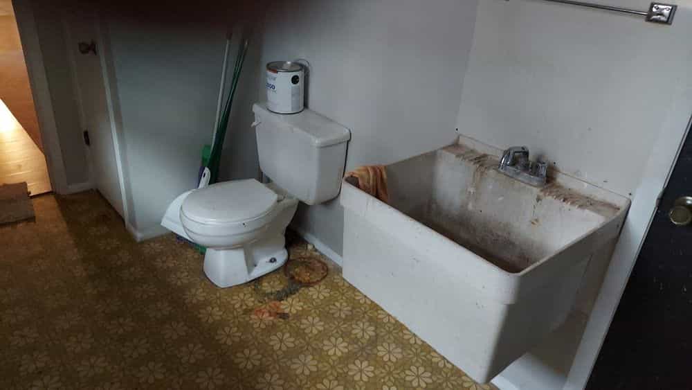 Picture of undefined, number 12