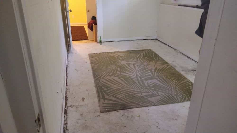 Picture of undefined, number 22