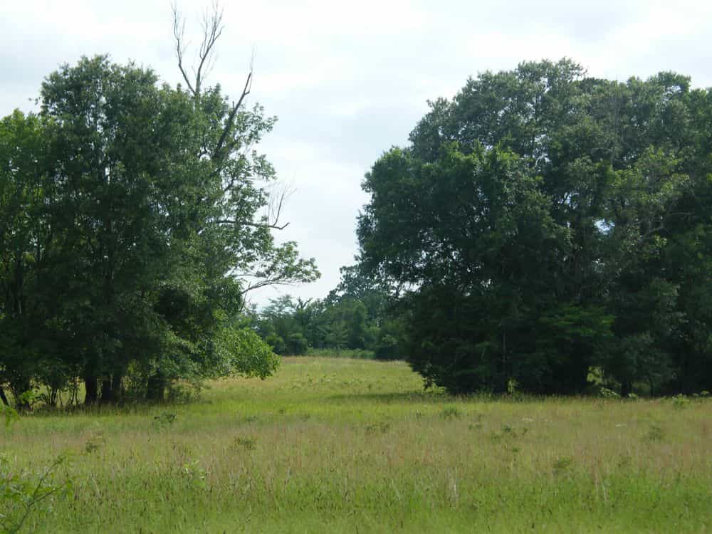 Picture of undefined, number 0