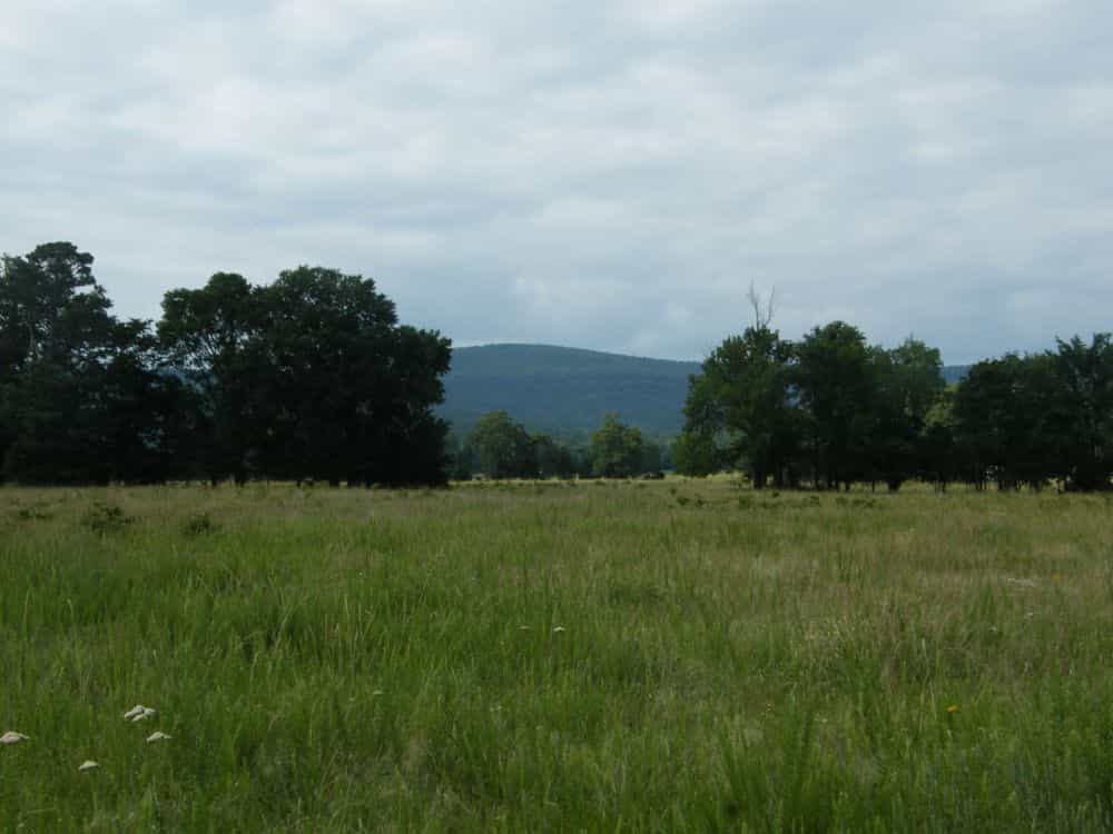 Picture of undefined, number 4