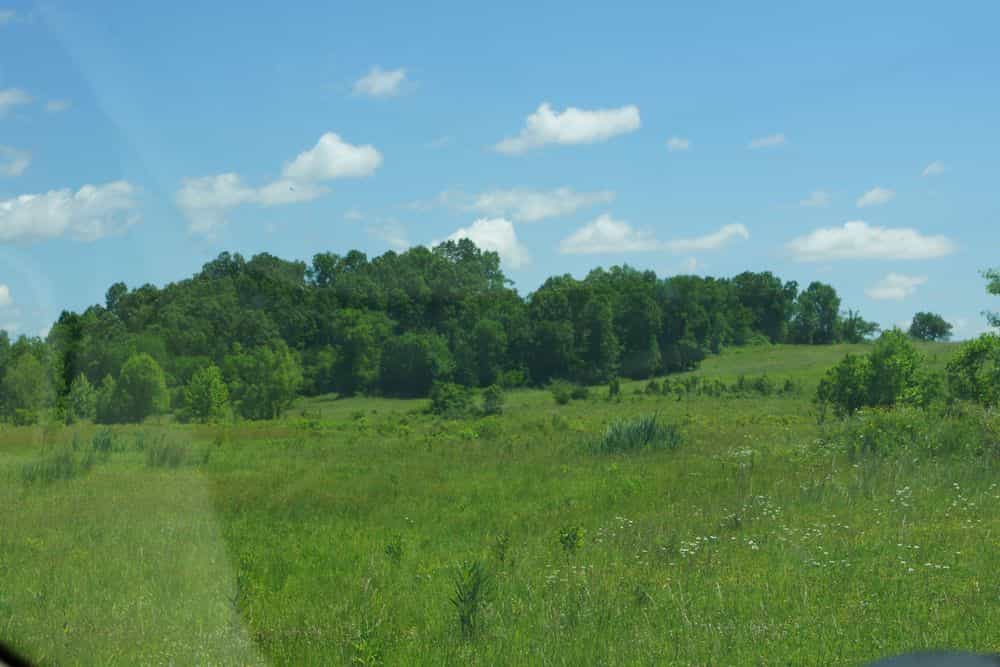 Picture of undefined, number 3