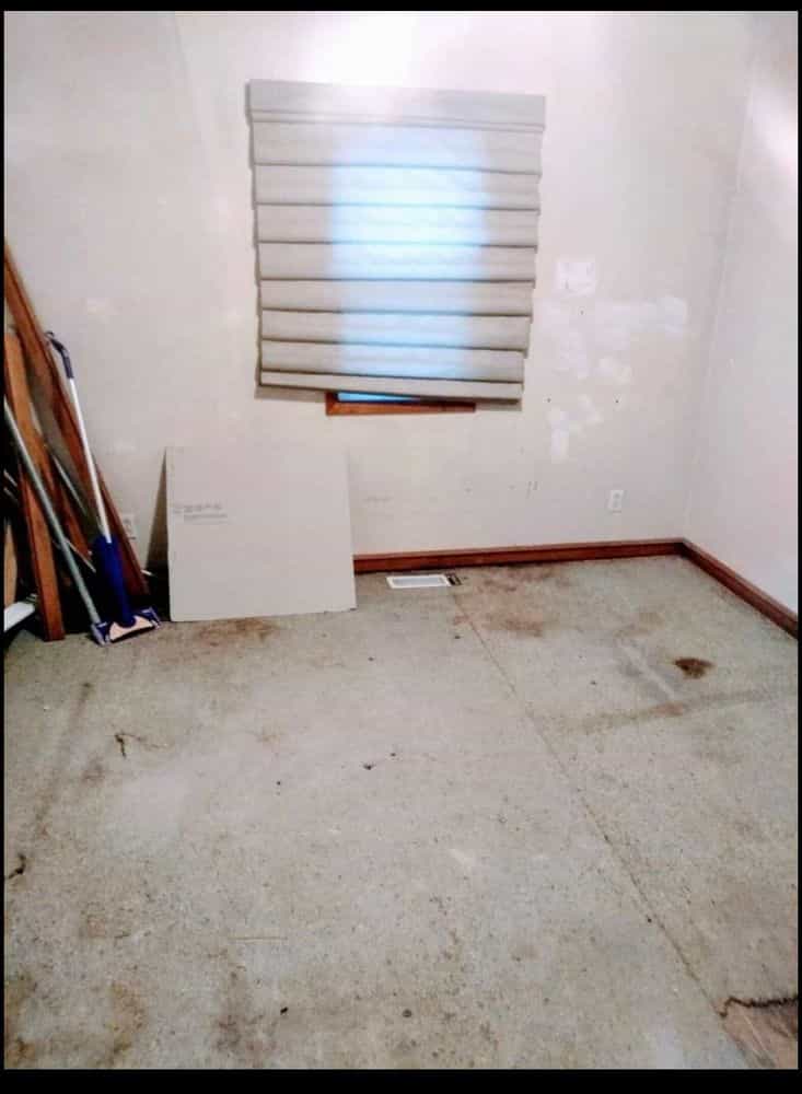 Picture of undefined, number 15
