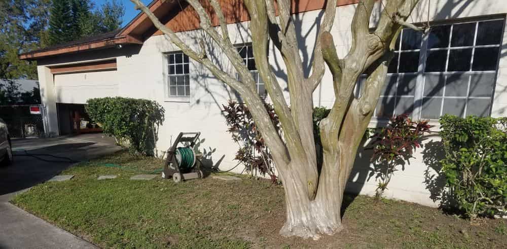 Picture of undefined, number 3