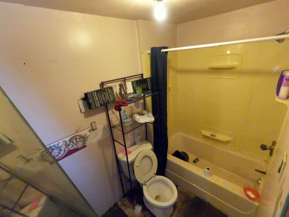 Picture of undefined, number 11