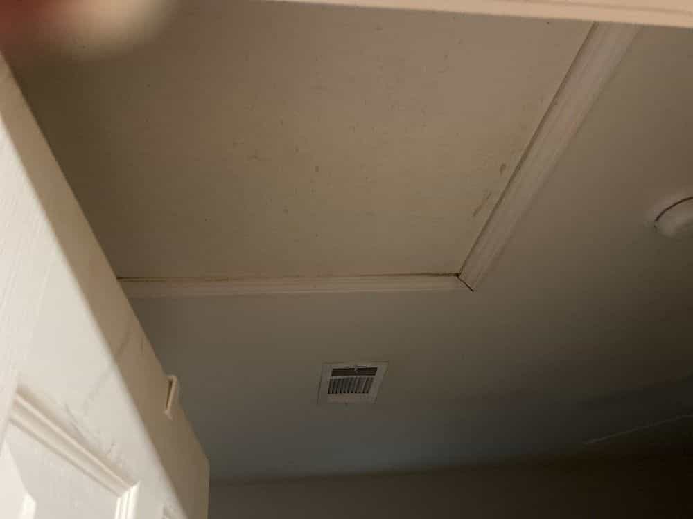 Picture of undefined, number 20