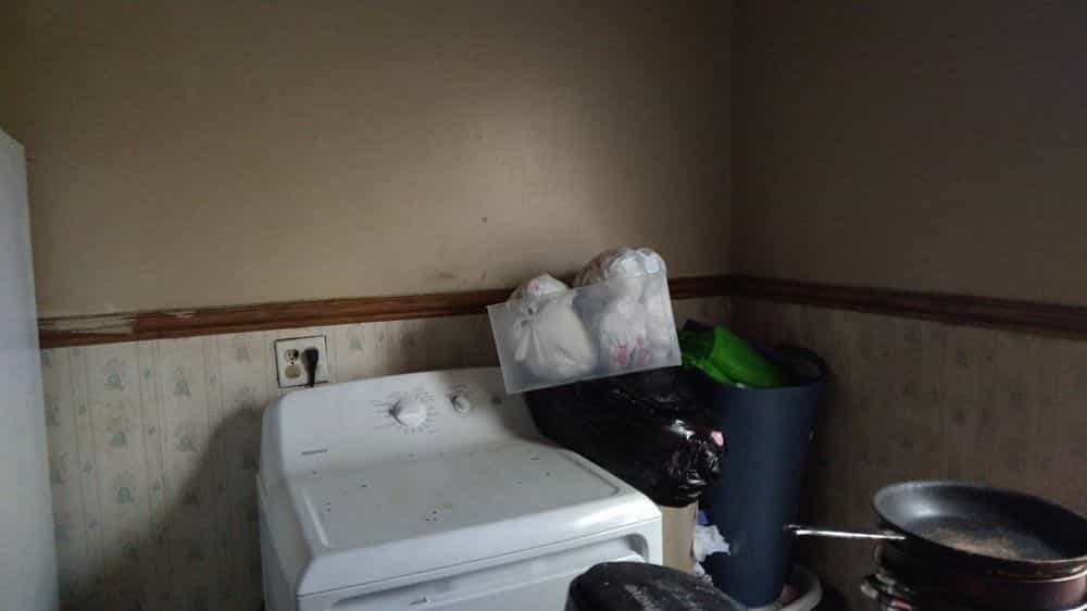 Picture of undefined, number 11