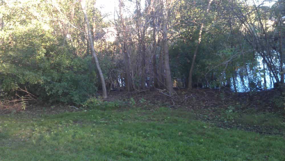 Picture of undefined, number 5
