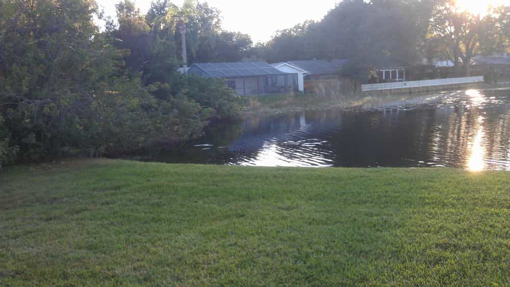 Picture of undefined, number 6