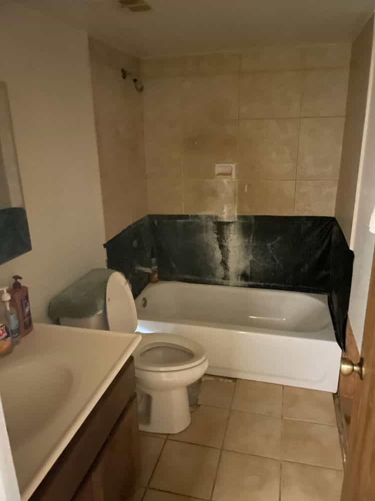 Picture of undefined, number 8