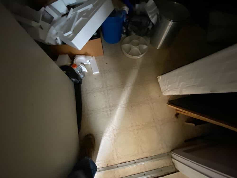 Picture of undefined, number 25