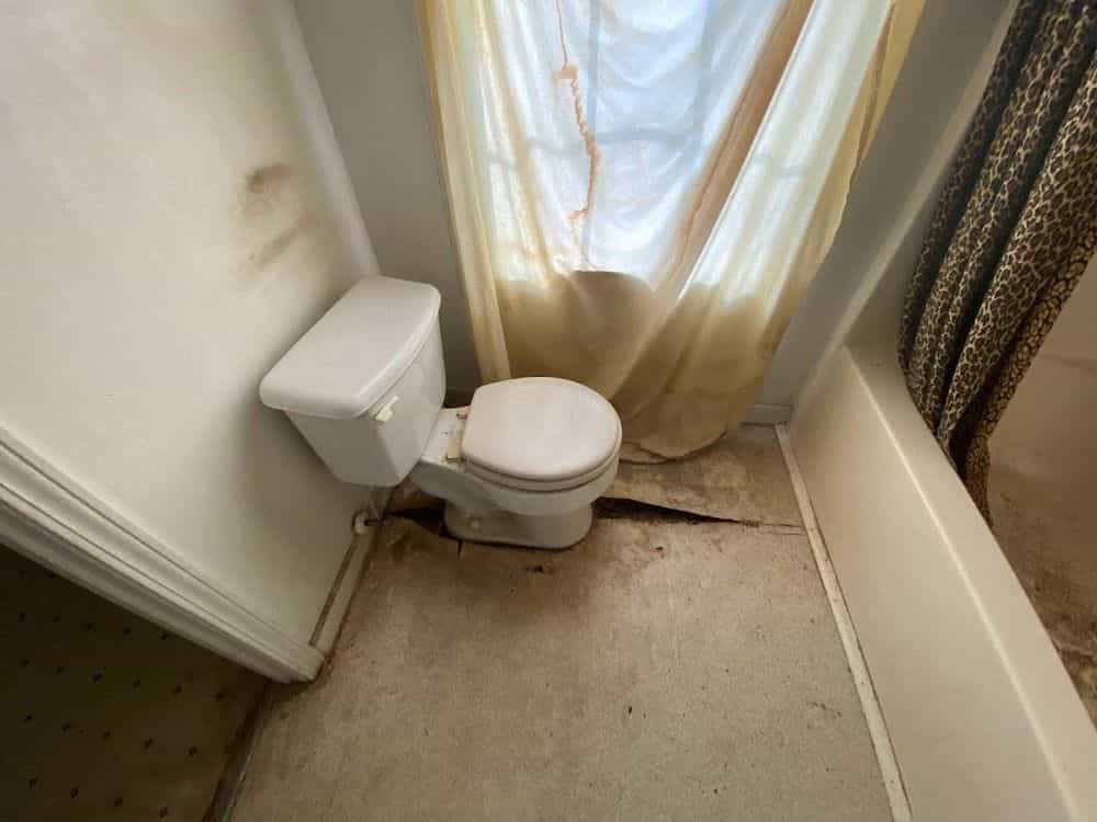 Picture of undefined, number 5