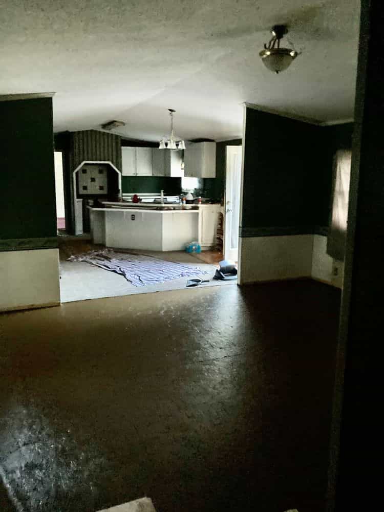 Picture of undefined, number 25
