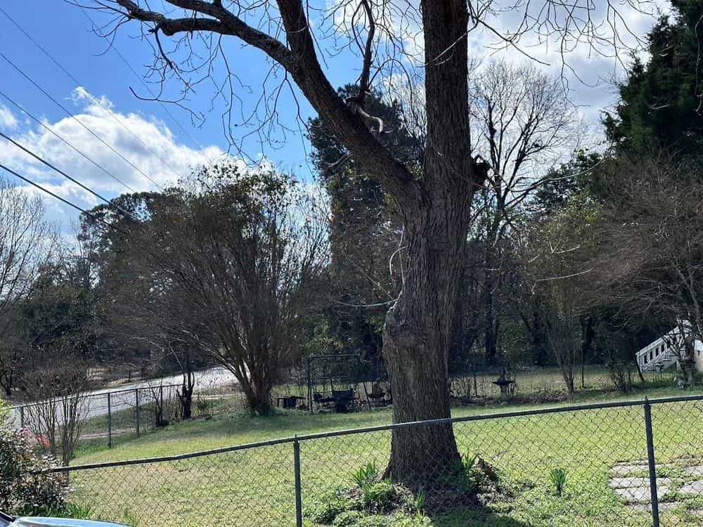 Picture of undefined, number 21