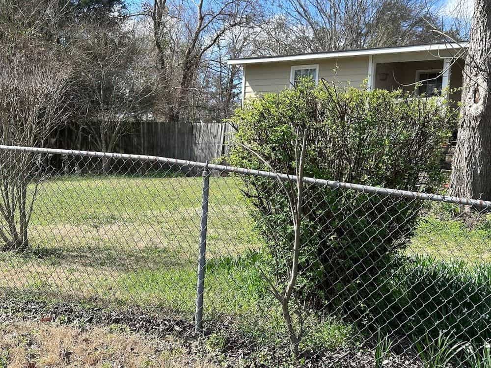 Picture of undefined, number 15