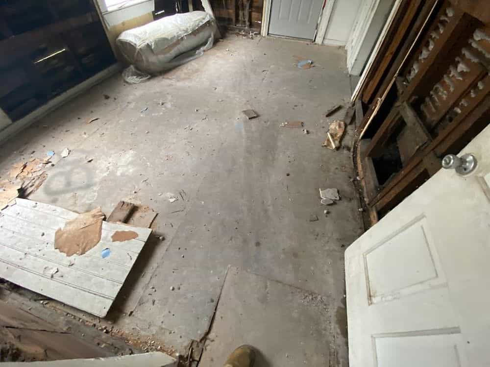 Picture of undefined, number 12