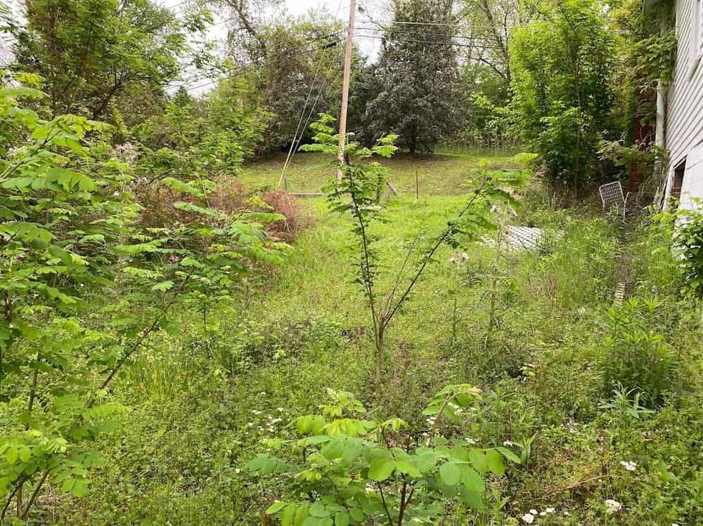 Picture of undefined, number 13