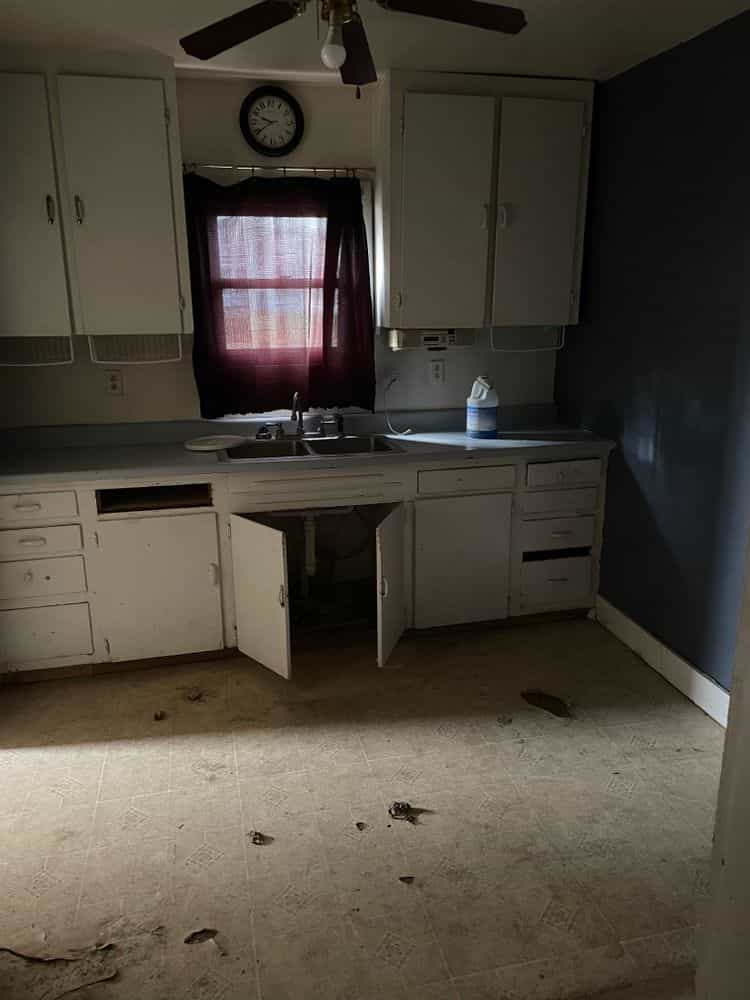 Picture of undefined, number 5