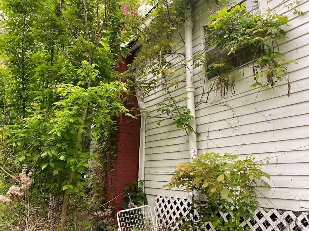 Picture of undefined, number 10