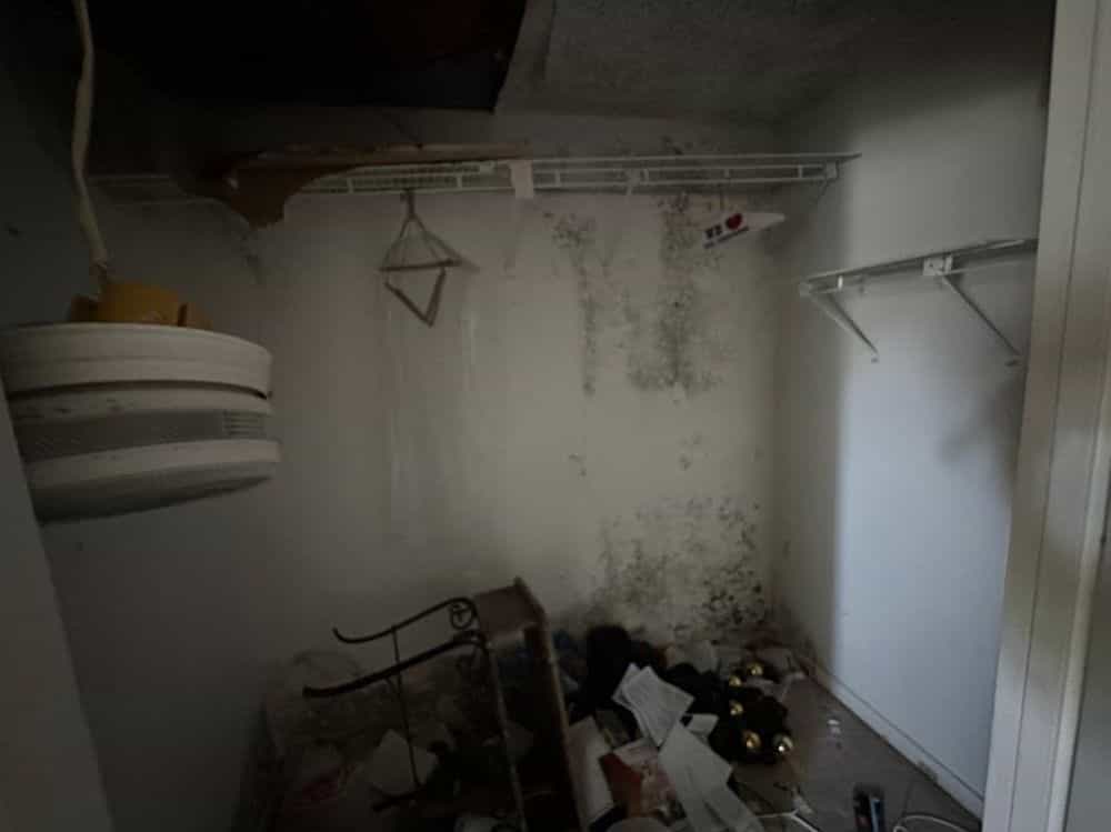 Picture of undefined, number 13