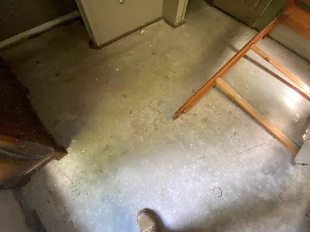 Picture of undefined, number 16