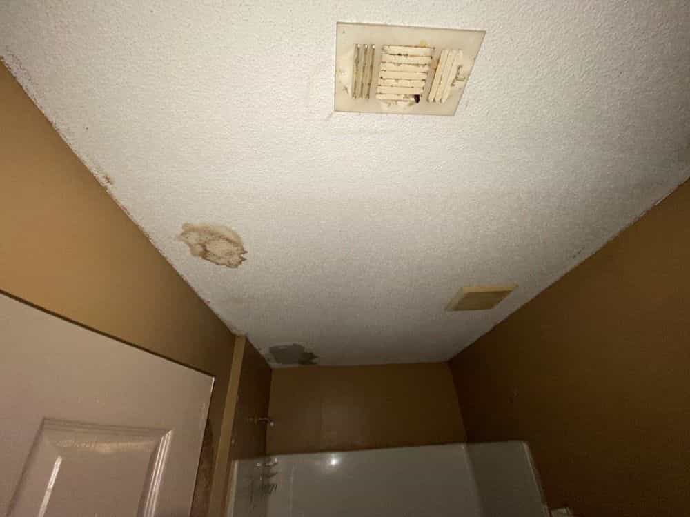 Picture of undefined, number 12