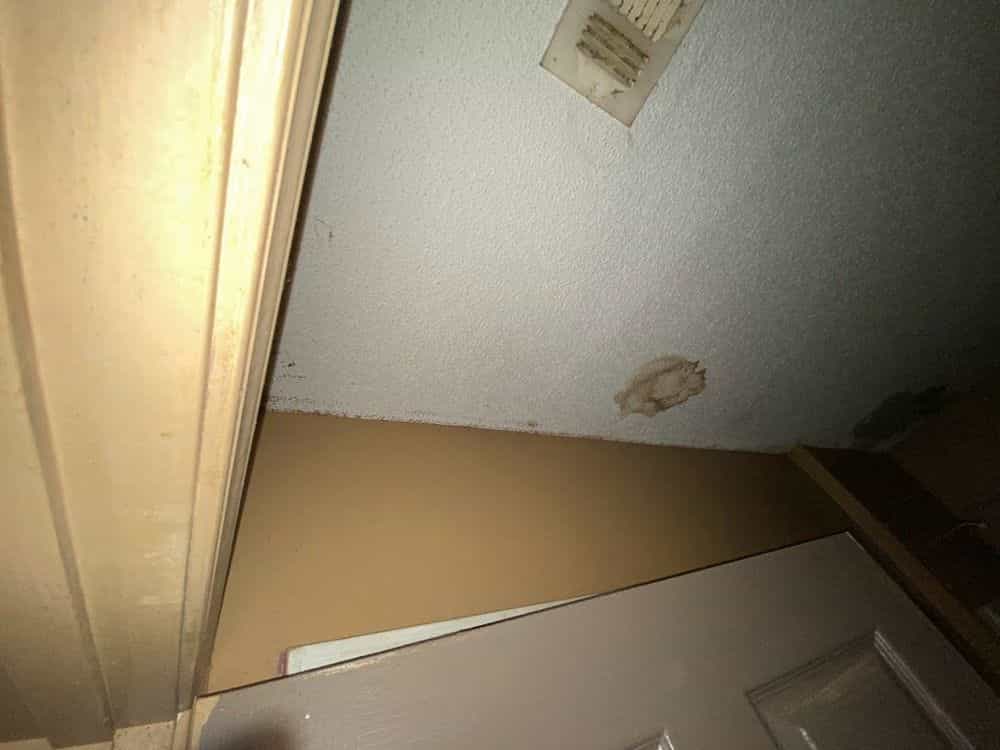 Picture of undefined, number 11