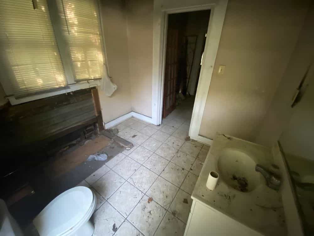 Picture of undefined, number 15
