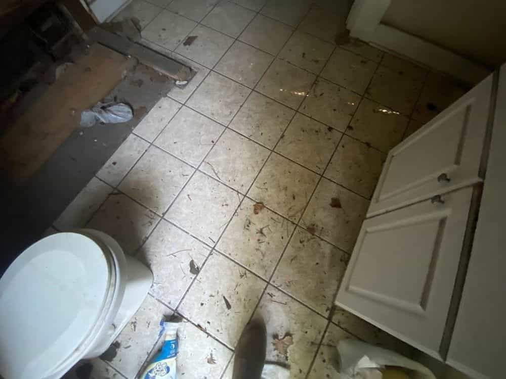 Picture of undefined, number 14