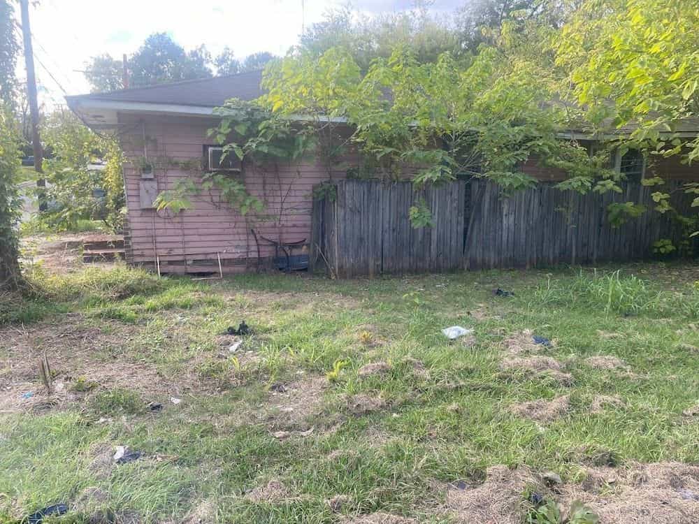 Picture of undefined, number 2