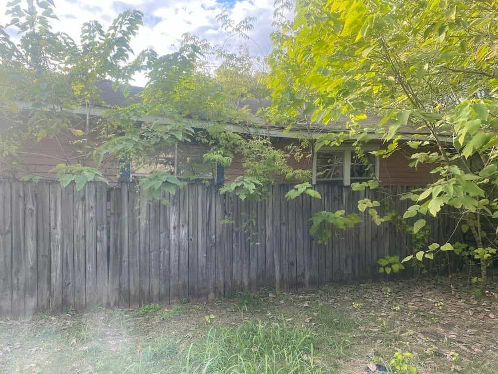 Picture of undefined, number 4