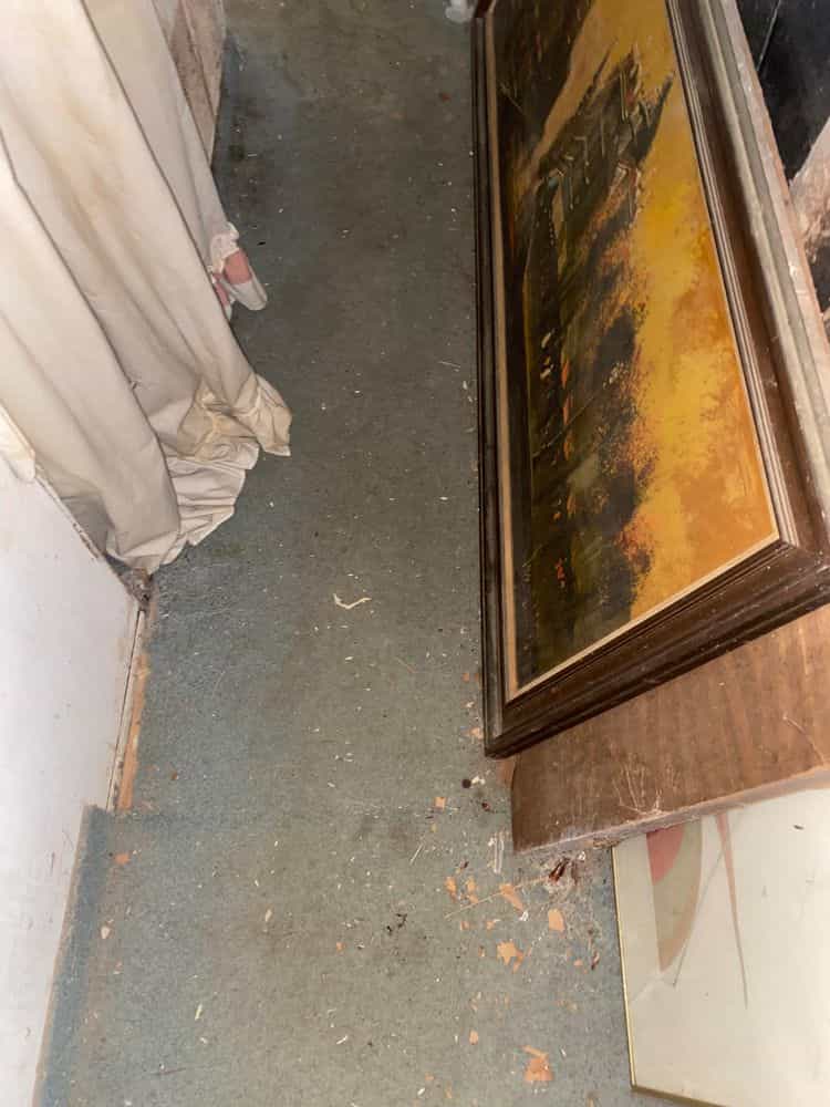 Picture of undefined, number 28