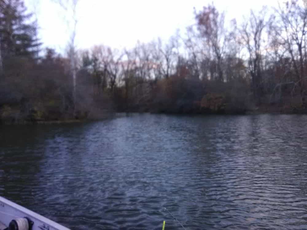 Picture of undefined, number 0
