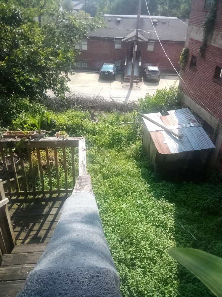 Picture of undefined, number 18