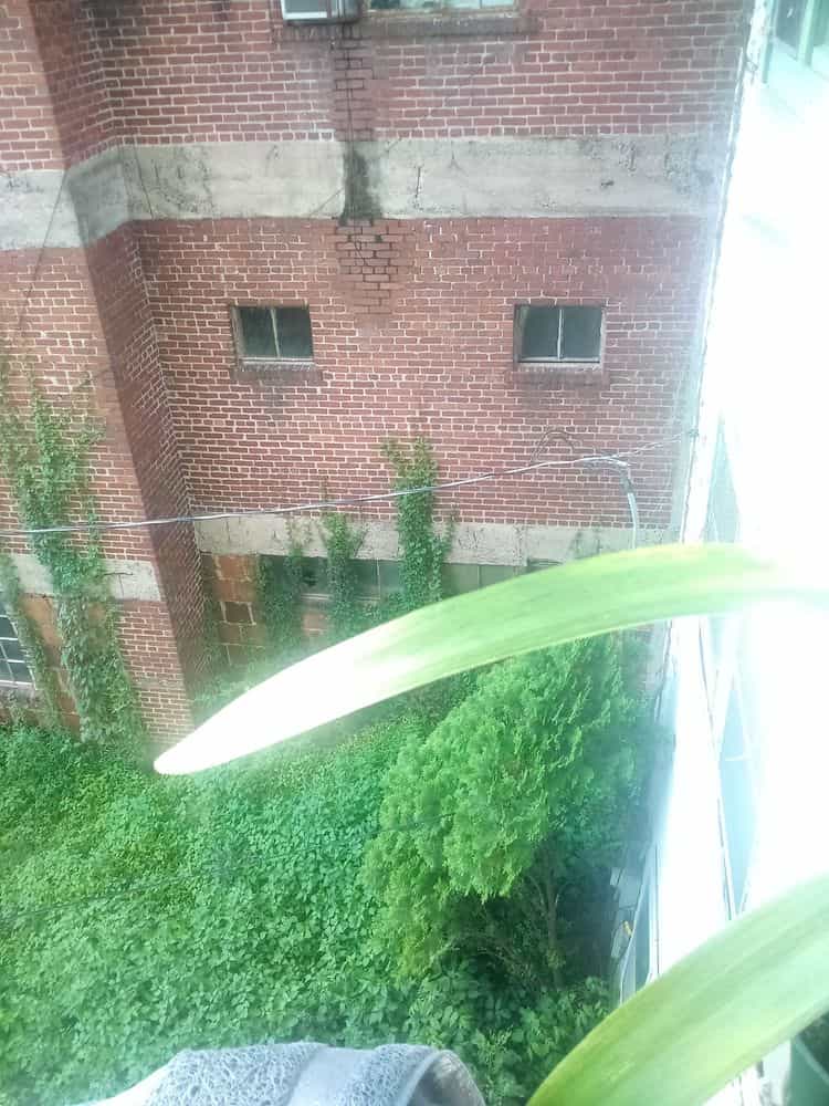 Picture of undefined, number 21