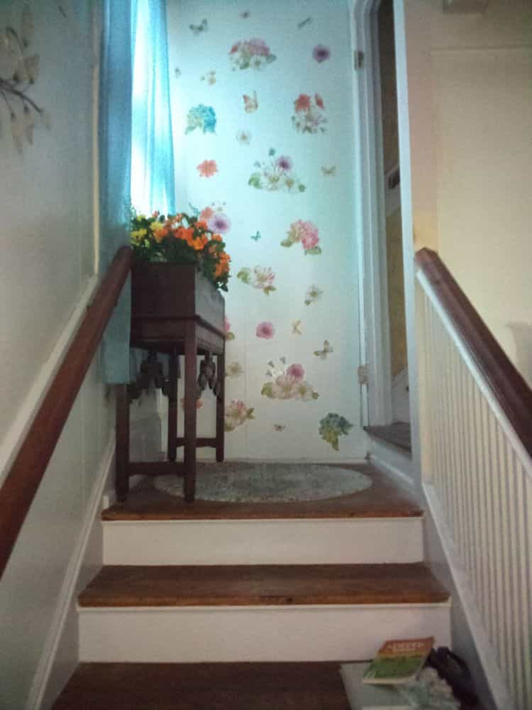 Picture of undefined, number 36