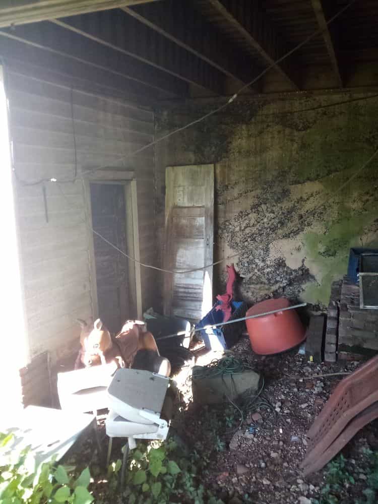 Picture of undefined, number 42