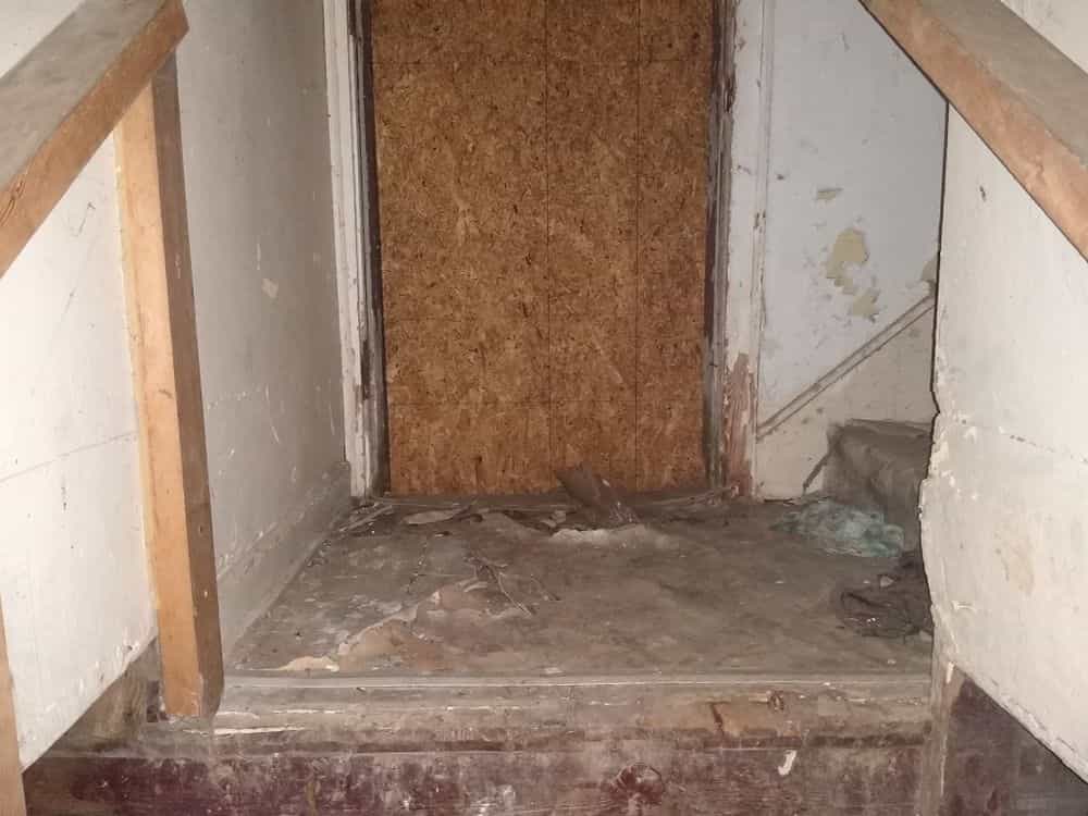 Picture of undefined, number 44