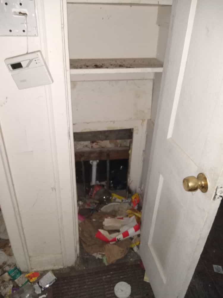 Picture of undefined, number 4