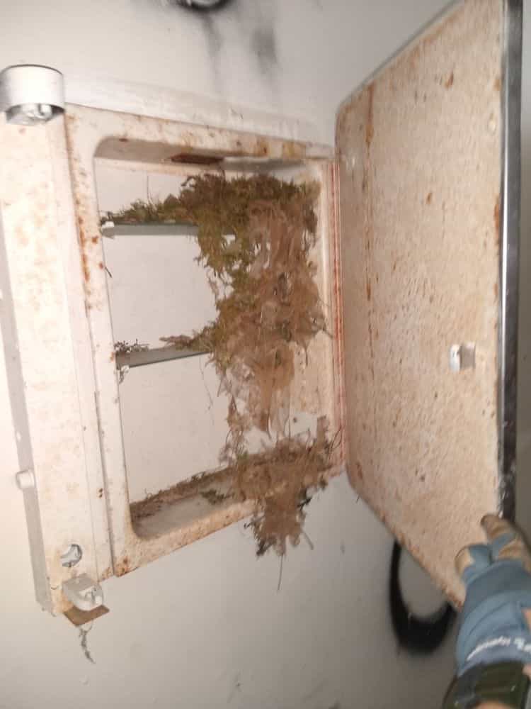 Picture of undefined, number 11