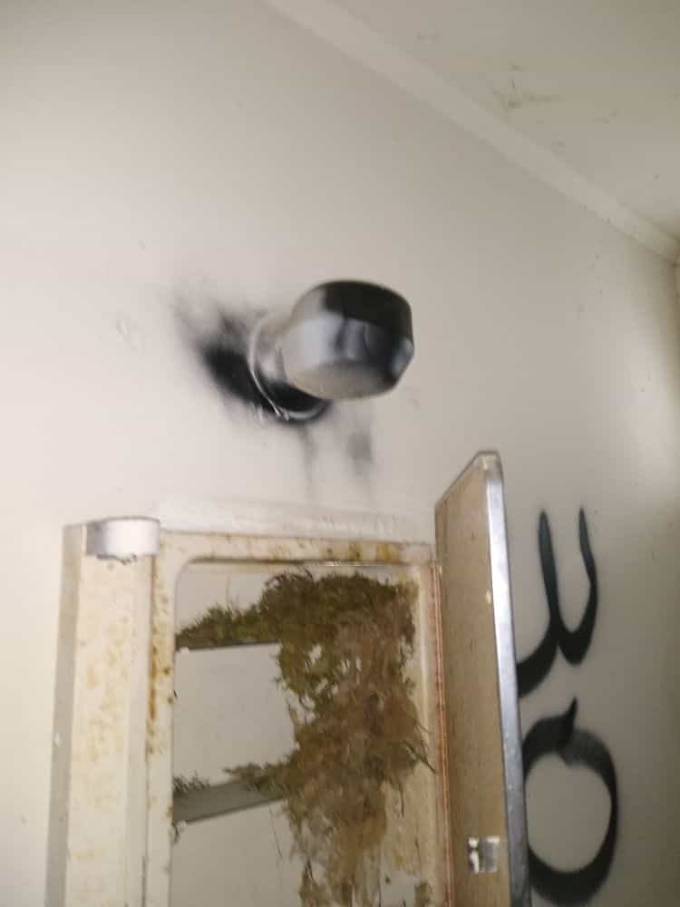 Picture of undefined, number 12