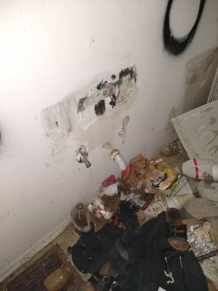 Picture of undefined, number 13