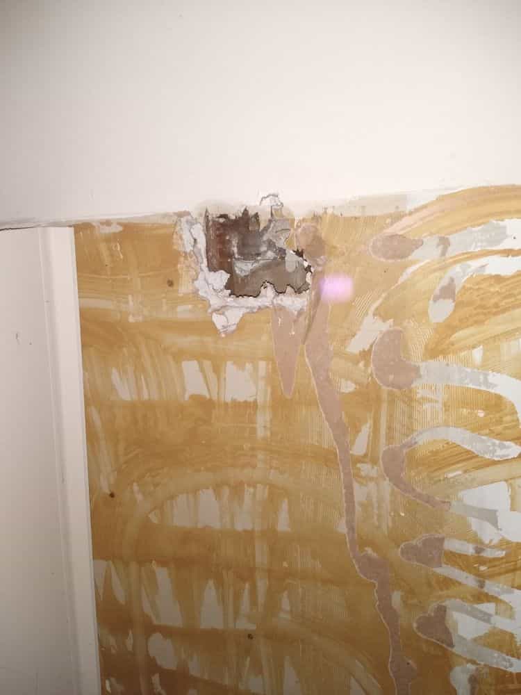 Picture of undefined, number 18