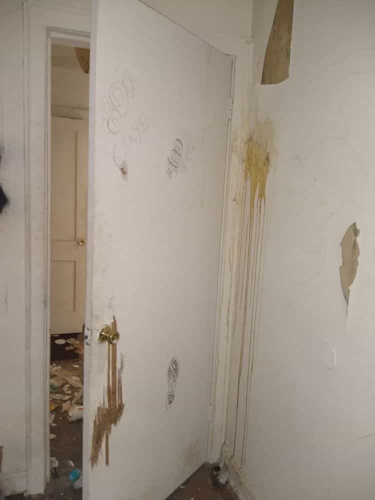 Picture of undefined, number 29