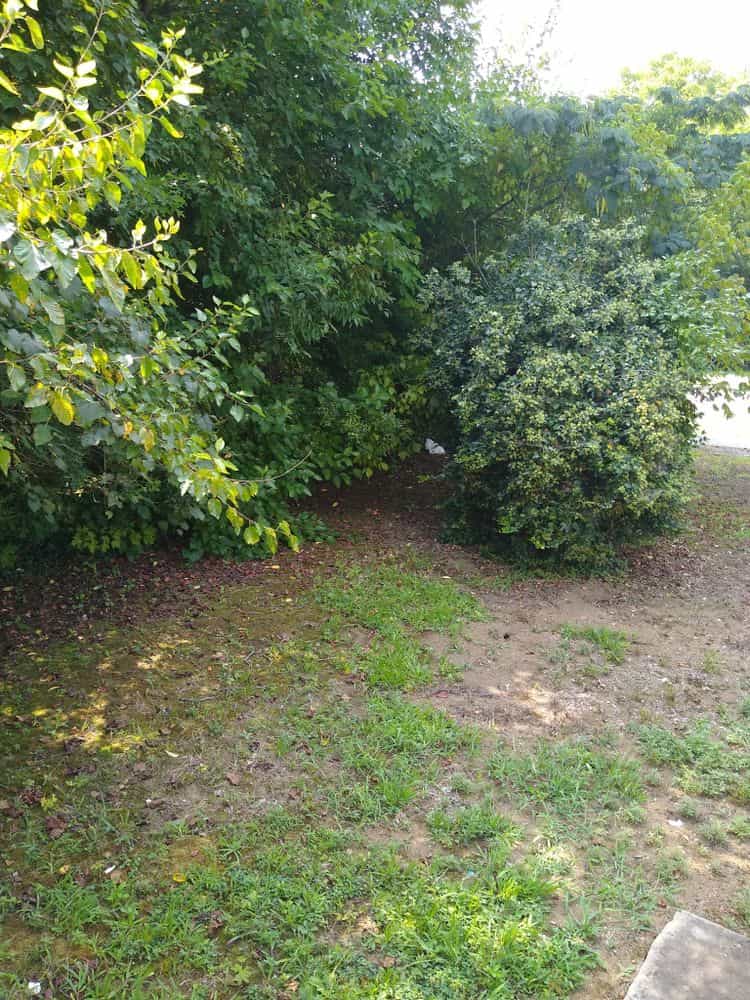 Picture of undefined, number 34