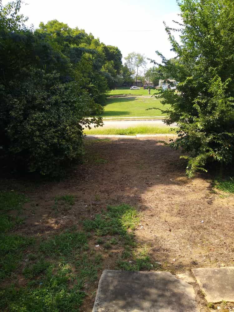 Picture of undefined, number 35